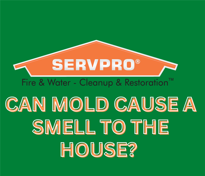 Green box with text and orange SERVPRO logo 