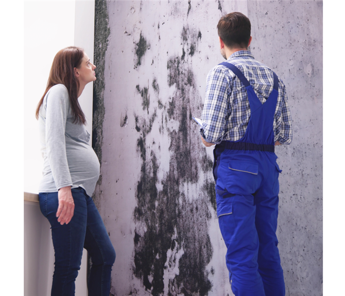 mold on wall with servpro logo