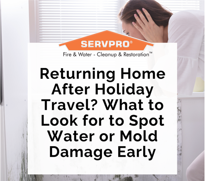 mold on wall with servpro logo