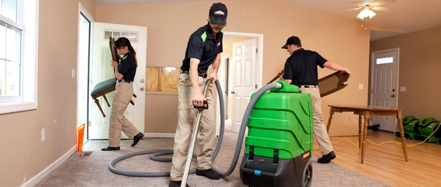 Westwood, MA cleaning services